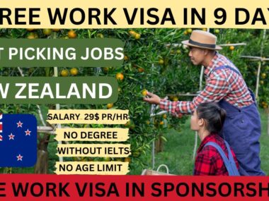 Fruit picking jobs in New Zealand with visa sponsorship